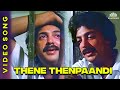 Thene Thenpaandi | தேனே தென்பாண்டி | Udaya Geetham Movie Songs | SPB | Mohan #spbhits