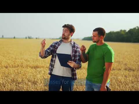 How does soil pollution affect soil productivity?
