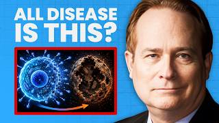 This Doctor Thinks ALL Disease Starts Here
