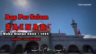 Aap Par Salam Zainab | Shahadat Bibi Zainab ع | Mesum Abbas Noha Status | Ik Noha Status