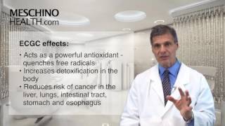 Green Tea Does it Really Prevent Cancer