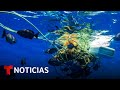 Planeta Tierra: Nuestros océanos se ahogan en microplásticos | Noticias Telemundo