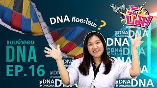 EP16 : DNA // วิทย์ บึ้ม! (Easy Science Five Minutes)