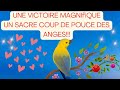 🎁🎁🎁LES ANGES ONT UN MESSAGE POUR VOUS🎁GUIDANCE DU JOUR - MARDI 8 OCTOBRE 2024🎁INTEMPOREL