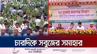 বিনামূল্যে গাছের চারা পেলো ব্রাহ্মণবাড়িয়ায় ৫০ হাজার শিক্ষার্থী | Tree Distribution | Brahmanbaria