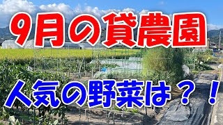 9月の残暑と秋の涼しさが合わさりあう素敵な季節