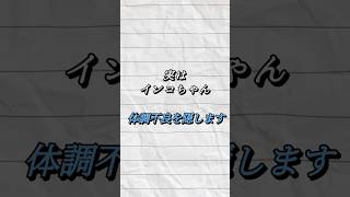 実はインコちゃん　【体調不良を隠します】