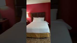 Homewood suites by Hilton. Room tour.. Business Travel