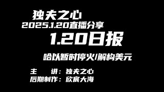 2025.1.20日报（哈以暂时停火、解构美元）