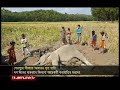 শেরপুরে ১০ দিনের ব্যবধানে দুইটি বন্যহাতির মরদেহ উদ্ধার elephant_dead