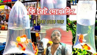 GALIFF STREET FISH MARKET KOLKATA ।Gold Fish Price.Kolkata Fish Market ।  Visit 28 July 2024