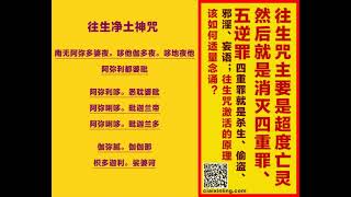 往生咒主要是超度亡灵，然后就是要灭，消灭四重罪、五逆罪。四重罪就是杀生、偷盗、邪淫、妄语；往生咒 激活的原理，该如何适量念诵？