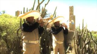 Mariachi Mexico Lindo   La Culebra