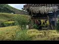 Life in the country,Traditional way of harvesting rice in Maehongson Village life,Northern Thailand