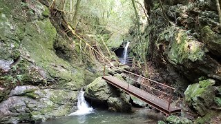 【ツーリング\u0026ハイキング】ブレーク寸前！？ 秘境体験 高知県 佐川町 長谷渓谷