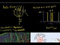 13 basic neural circuits