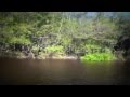 FISH ON! Peacock Bass Fishing at Agua Boa Lodge, Amazon River, Brazil