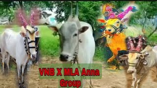 Vaniyambadi X MLA Anna Group bull s .. #Thirupatturearuthukattu