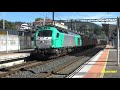 4K 2021 06 09 MADEREROS VACIOS PORTUGAL GALICIA