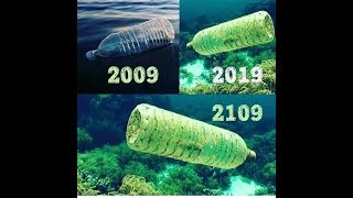 10 years challenge || what we should worry about. அழிவு பாதையில் நாம்