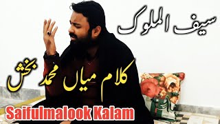 Saifulmalook | Kalam Mian Muhammad Bakhsh | Sufi kalam | Arfana Kalam | Zain Shakeel | 2020