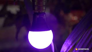 Lâmpada Bulbo LED LUZ NEGRA 9W A60 E27 Ultravioleta