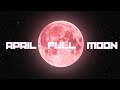 April's full pink moon will rise this week