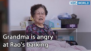 Grandma is angry at Rao's barking [Dogs are incredible : EP.126-7] | KBS WORLD TV 220614