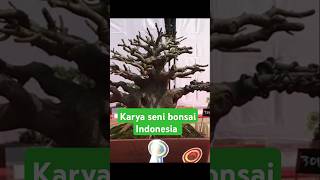 Karya seni bonsai Indonesia #bonsai #shorts #tanamanhias