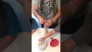 Rice Friction Experiment | STEM for Kids | DIY Science Activity | #shorts