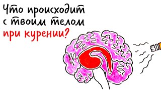 Что происходит с ТВОИМ ТЕЛОМ при курении? — Научпок