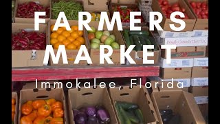 Farmers Market Immokalee Florida