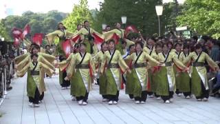 ドリーム夜さ来い2015 ～ 朝霞鳴子一族め組