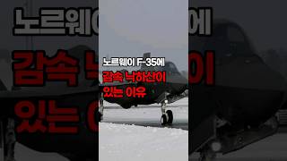 노르웨이 F-35에 감속 낙하산이 있는 이유