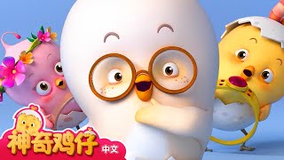 观察戒指 + 更多 | 神奇鸡仔宝宝观察 | 神奇鸡仔启蒙游戏 | Como Kids TV