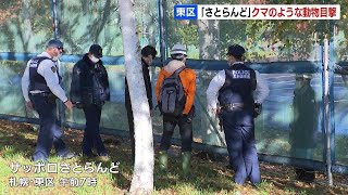 「サッポロさとらんど」で、クマのような動物の目撃通報…シカの足跡が多数、見間違いの可能性も　札幌市東区丘珠町