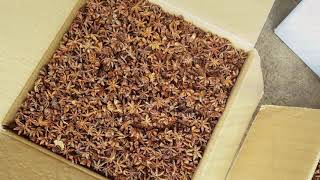 Cassia and Star Anise Factory_Tien Duc JSC.,