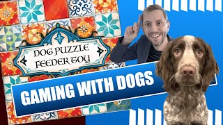 Top 5 Board Games for DOGS