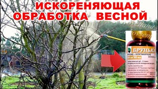 ВСЕГО 2 ОБРАБОТКИ \