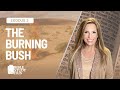 Exodus 3 | The Burning Bush and Moses