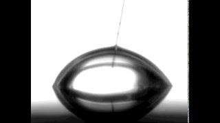 Droplet Electrowetting (2)