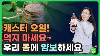 피부, 모발, 건강까지 챙기는 캐스터 오일! 제대로 효과보는 법