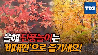 올 해 단풍놀이는 비대면으로…국립공원TV 단풍 영상 제공