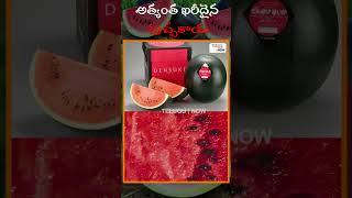 ప్రపంచంలోనే అత్యంత ఖరీదైన పుచ్చకాయ | Densuke Watermelon | Telugu Now