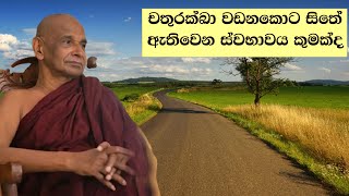 චතුරක්ඛා වඩනකොට සිතේ ඇතිවෙන ස්වභාවය කුමක්ද