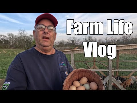 Farm Life Vlog Youtube
