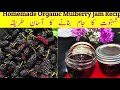 How To Make Mulberry Jam | Homemade Organic Mulberry Jam Recipe @Waheeda Shakil