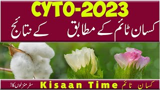 Cyto-2023 cotton seed 2023 cotton seeds cyto cotton variety سائیٹوسیڈ کپاس Kisaan Timeکسان ٹائم