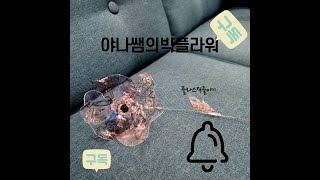 플라스틱 줄이기 버려진 플라스틱컵 으로 다양한 꽃 만들기