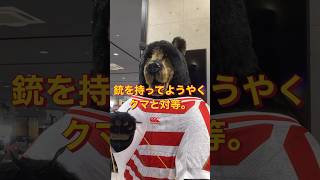 勝てるわけないくま🐻 #熊 #bear #出没 #沼津市 #クマさん